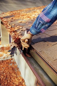 Hand, cleaning leaves out of a gutter