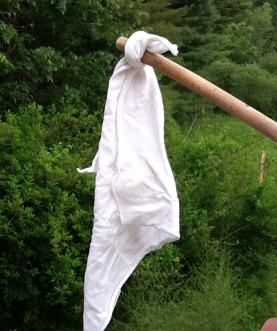 white flag