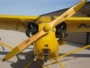 Piper cub