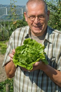 man holding fresh head of lettuce