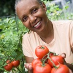 lady holds fresh tomatos